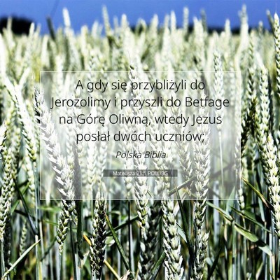 Mateusza 21:1 POLUBG Obraz Wersetu Biblijnego