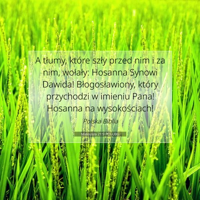 Mateusza 21:9 POLUBG Obraz Wersetu Biblijnego
