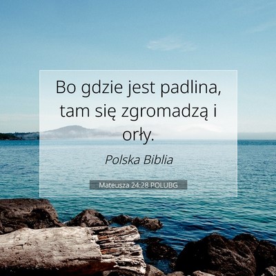 Mateusza 24:28 POLUBG Obraz Wersetu Biblijnego