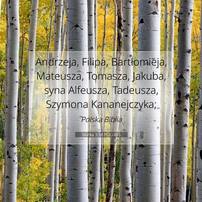 Marka 3:18 POLUBG Obraz Wersetu Biblijnego