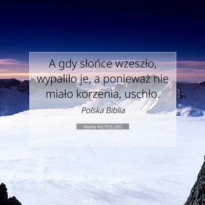 Marka 4:6 POLUBG Obraz Wersetu Biblijnego