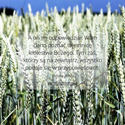 Marka 4:11 POLUBG Obraz Wersetu Biblijnego