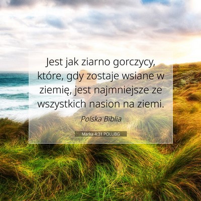Marka 4:31 POLUBG Obraz Wersetu Biblijnego