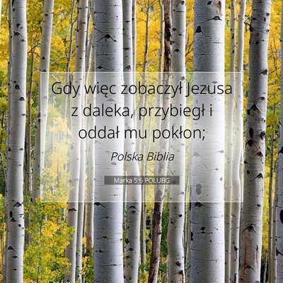 Marka 5:6 POLUBG Obraz Wersetu Biblijnego
