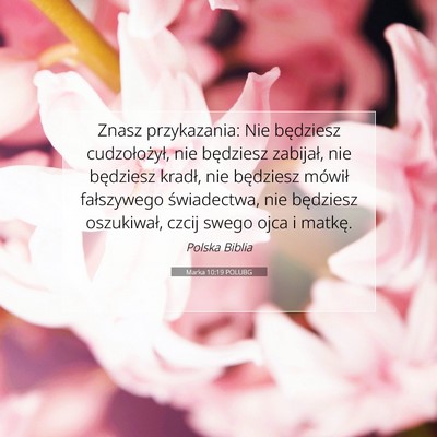 Marka 10:19 Werset Biblijny Wyjaśniony