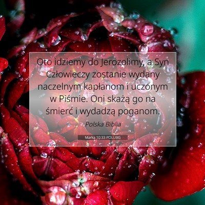 Marka 10:33 POLUBG Obraz Wersetu Biblijnego