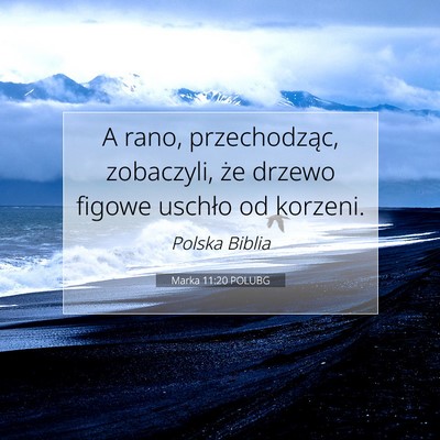 Marka 11:20 POLUBG Obraz Wersetu Biblijnego