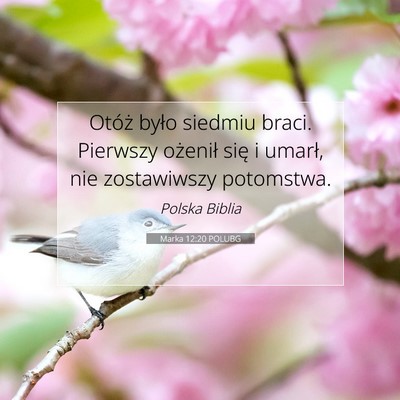 Marka 12:20 Werset Biblijny Wyjaśniony