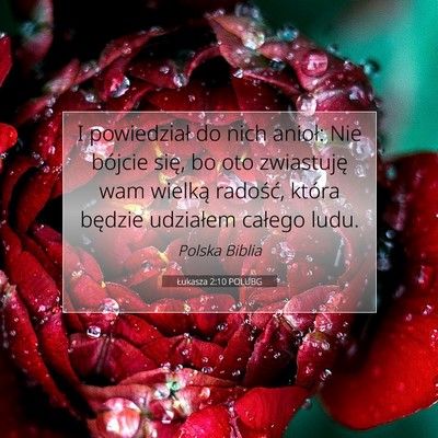 Łukasza 2:10 POLUBG Obraz Wersetu Biblijnego