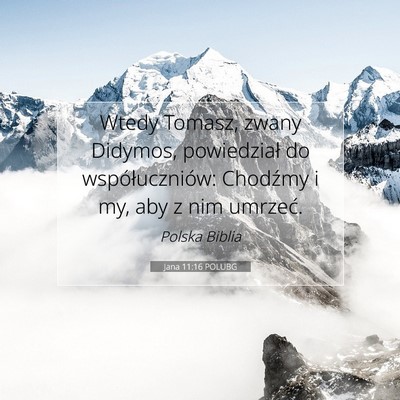 Jana 11:16 POLUBG Obraz Wersetu Biblijnego