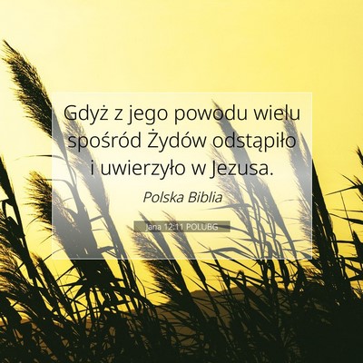 Jana 12:11 POLUBG Obraz Wersetu Biblijnego