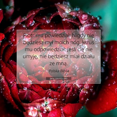 Jana 13:8 Werset Biblijny Wyjaśniony