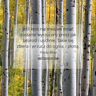 Jana 15:6 POLUBG Obraz Wersetu Biblijnego