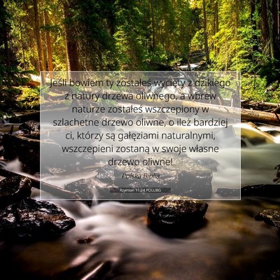 Rzymian 11:24 POLUBG Obraz Wersetu Biblijnego