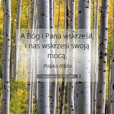 1 Koryntian 6:14 POLUBG Obraz Wersetu Biblijnego