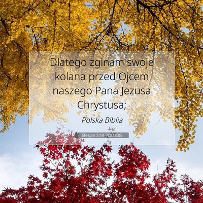 Efezjan 3:14 POLUBG Obraz Wersetu Biblijnego