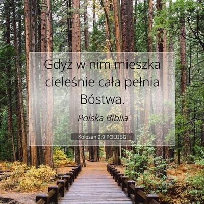 Kolosan 2:9 POLUBG Obraz Wersetu Biblijnego