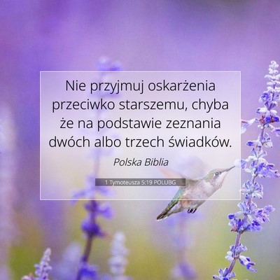 1 Tymoteusza 5:19 POLUBG Obraz Wersetu Biblijnego