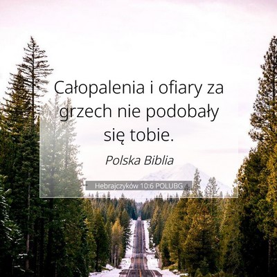Hebrajczyków 10:6 Werset Biblijny Wyjaśniony